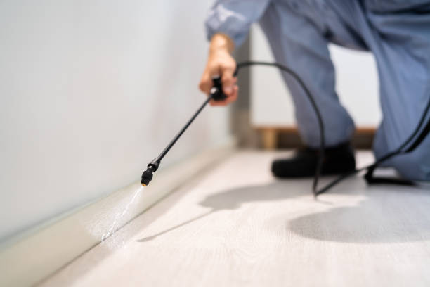 Bed Bug Pre-Treatment Preparation Assessment in Latta