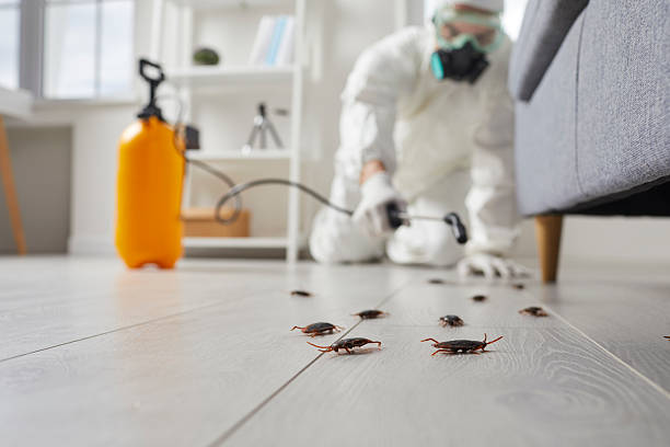 Post-Treatment Bed Bug Interceptor Monitoring in Latta