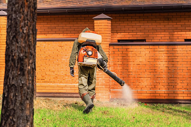 Bed Bug Clearance Verification and Documentation in Latta